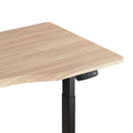 ProFlex Desk Ergo - Zit-Sta Bureau detail motorframe