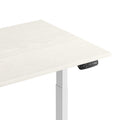 ProFlex Desk | Zit-Sta Bureau - bureau - Douxe