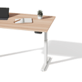 ProFlex Desk | Zit-Sta Bureau - bureau - Douxe
